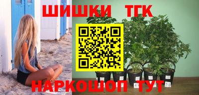 a pvp Можга