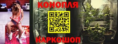 a pvp Можга